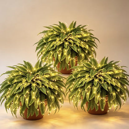 Glowing Boston Ferns with Lights – Zero Watering, Zero Maintenance