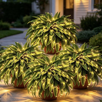 Glowing Boston Ferns with Lights – Zero Watering, Zero Maintenance