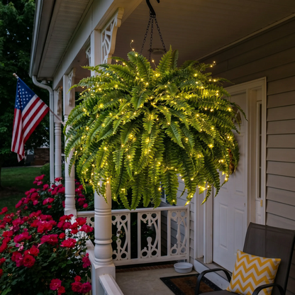 Glowing Boston Ferns with Lights – Zero Watering, Zero Maintenance